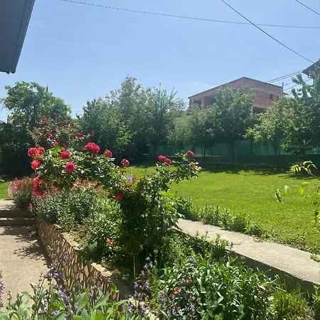 Dzeno Sarajevo * Krivoglavci