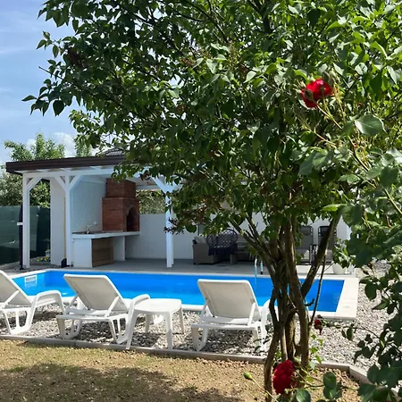 Dzeno Sarajevo Krivoglavci