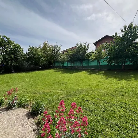 Dzeno Sarajevo Krivoglavci