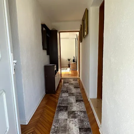 Dzeno Sarajevo *