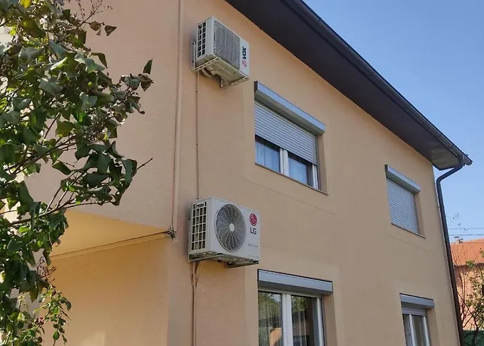 Dzeno Sarajevo Krivoglavci