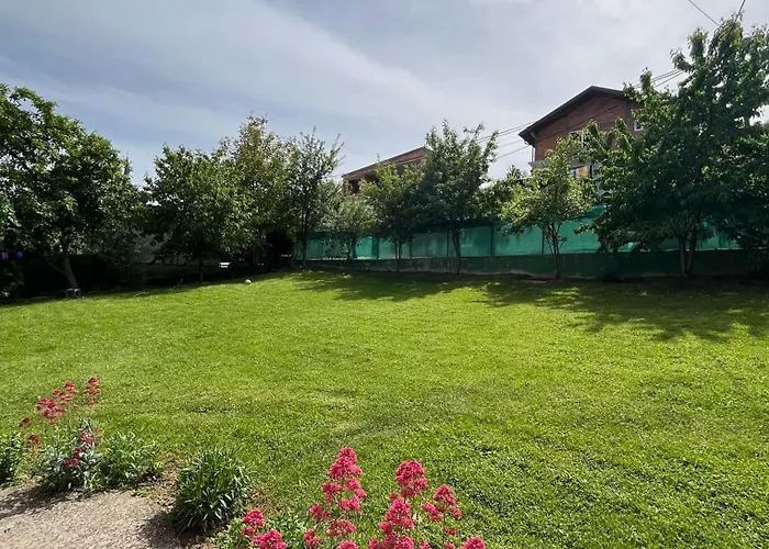 Dzeno Sarajevo Krivoglavci